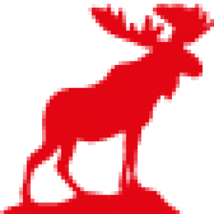 Elch, rot